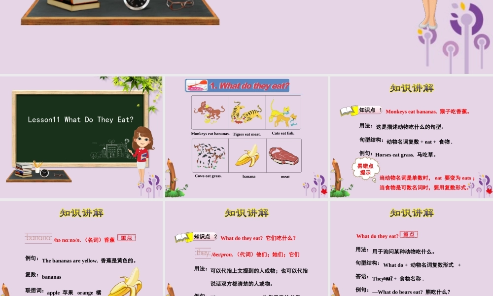 三年级英语下册 Unit 2 Animals at the Zoo Lesson 11 What Do They Eat课件 冀教版（三起）-冀教版小学三年级下册英语课件