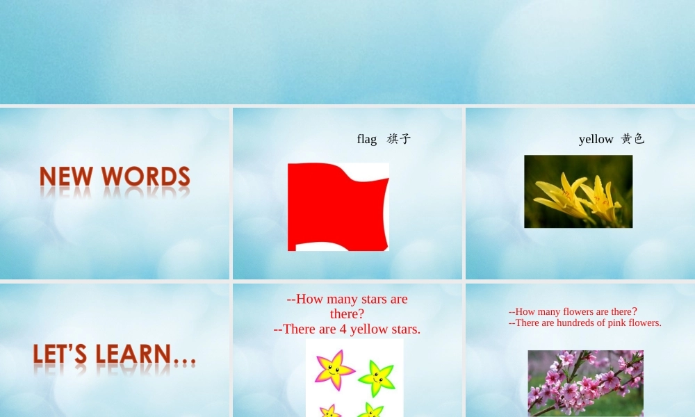 三年级英语下册 Unit 2 I like the shape Lesson 5课件 北京课改版-北京课改版小学三年级下册英语课件