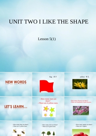 三年级英语下册 Unit 2 I like the shape Lesson 5课件 北京课改版-北京课改版小学三年级下册英语课件