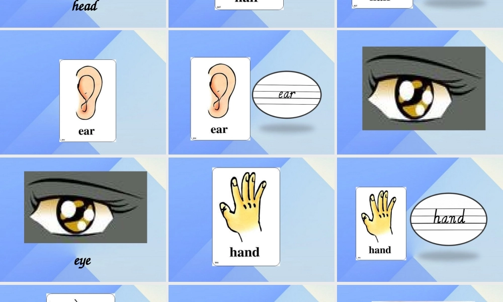 三年级英语上册《Unit 2 My Body》课件 人教新起点-人教新起点小学三年级上册英语课件