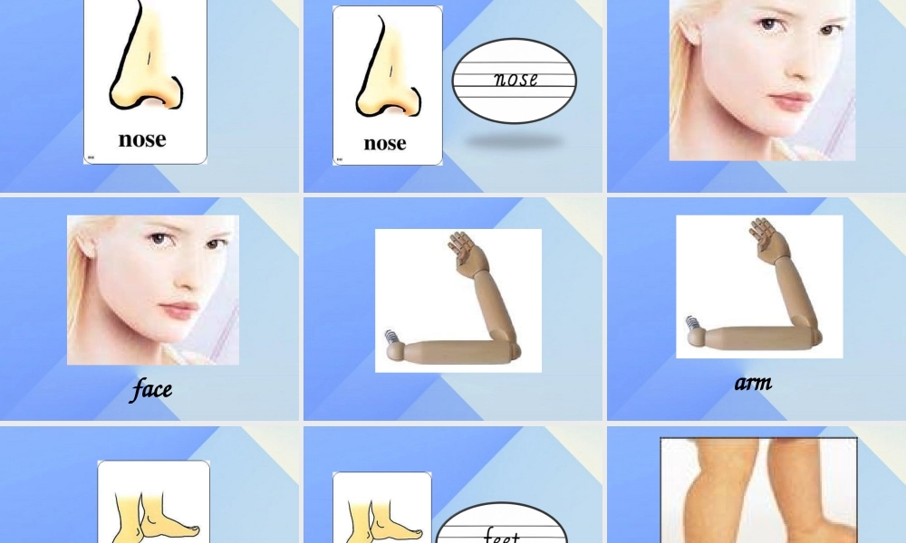 三年级英语上册《Unit 2 My Body》课件 人教新起点-人教新起点小学三年级上册英语课件