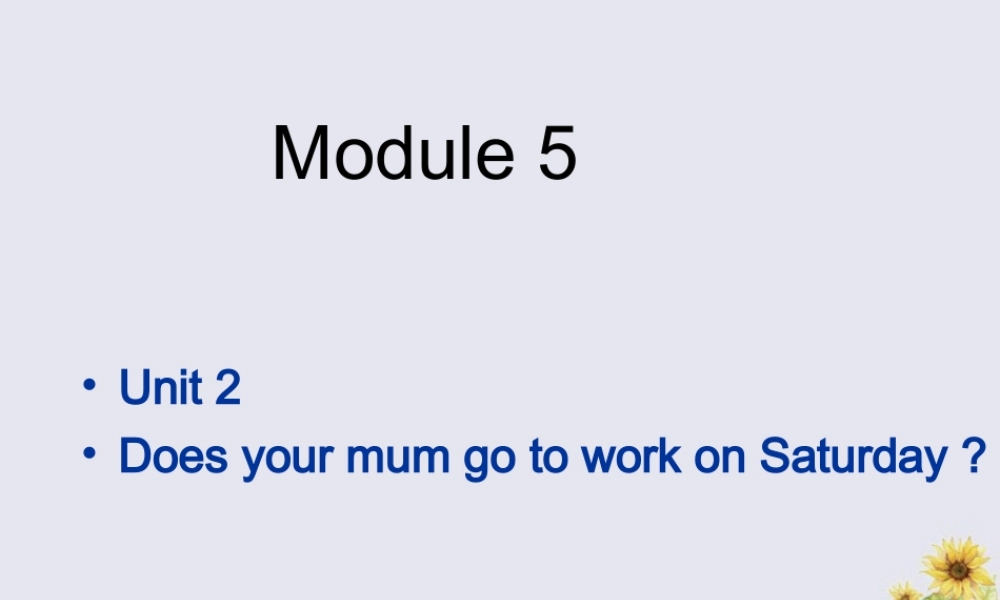 三年级英语下册 Module 5 Unit 2 Does your mum go to work on Saturdays（2）教学课件 外研版（三起）-外研版小学三年级下册英语课件
