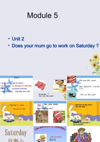 三年级英语下册 Module 5 Unit 2 Does your mum go to work on Saturdays（2）教学课件 外研版（三起）-外研版小学三年级下册英语课件