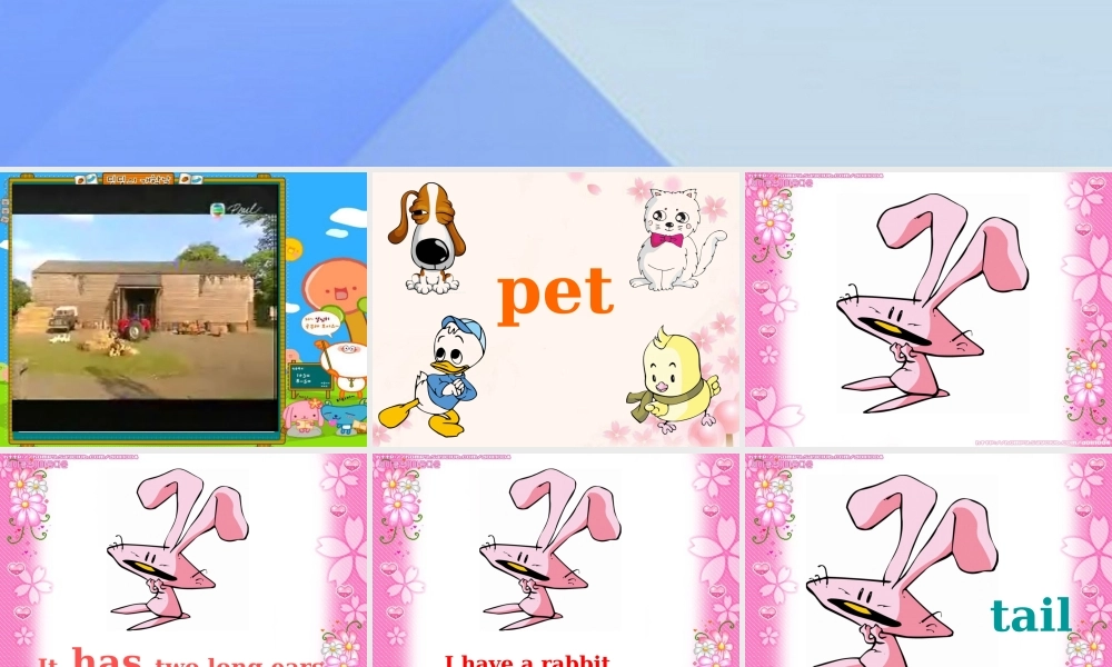 三年级英语上册《Unit 4 pets》课件1 人教新起点-人教新起点小学三年级上册英语课件