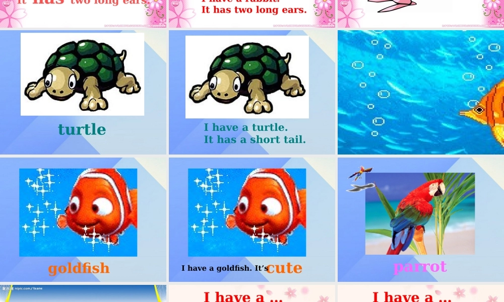 三年级英语上册《Unit 4 pets》课件1 人教新起点-人教新起点小学三年级上册英语课件