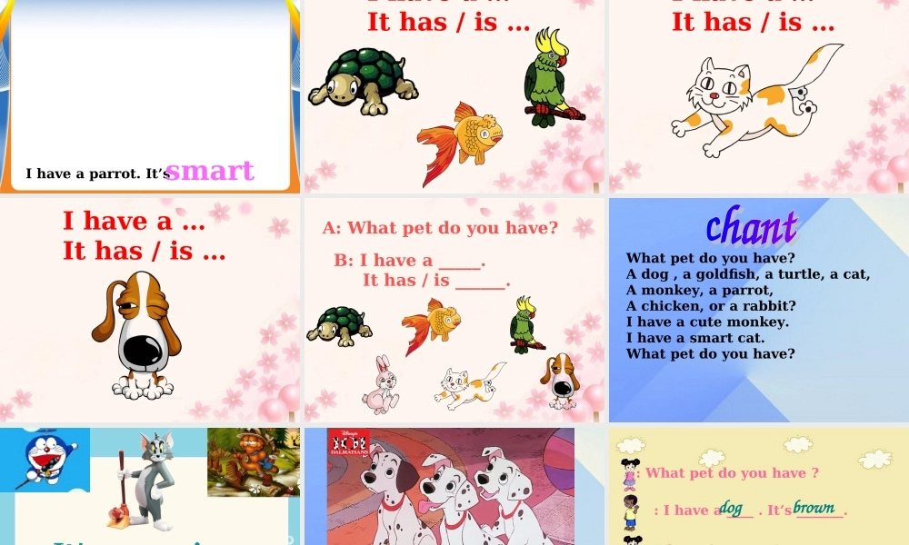 三年级英语上册《Unit 4 pets》课件1 人教新起点-人教新起点小学三年级上册英语课件