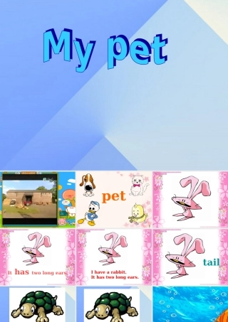 三年级英语上册《Unit 4 pets》课件1 人教新起点-人教新起点小学三年级上册英语课件