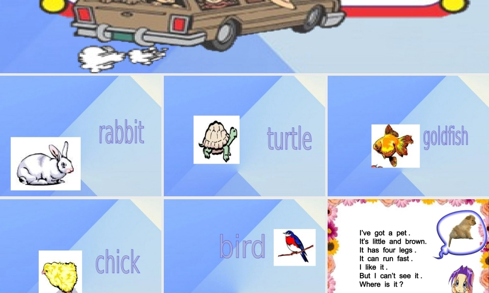 三年级英语上册《Unit 4 pets》课件2 人教新起点-人教新起点小学三年级上册英语课件