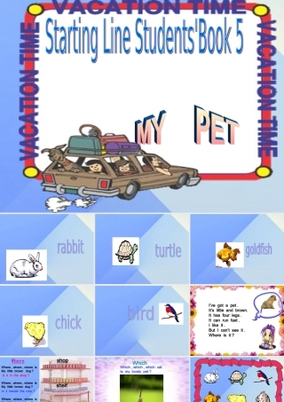 三年级英语上册《Unit 4 pets》课件2 人教新起点-人教新起点小学三年级上册英语课件