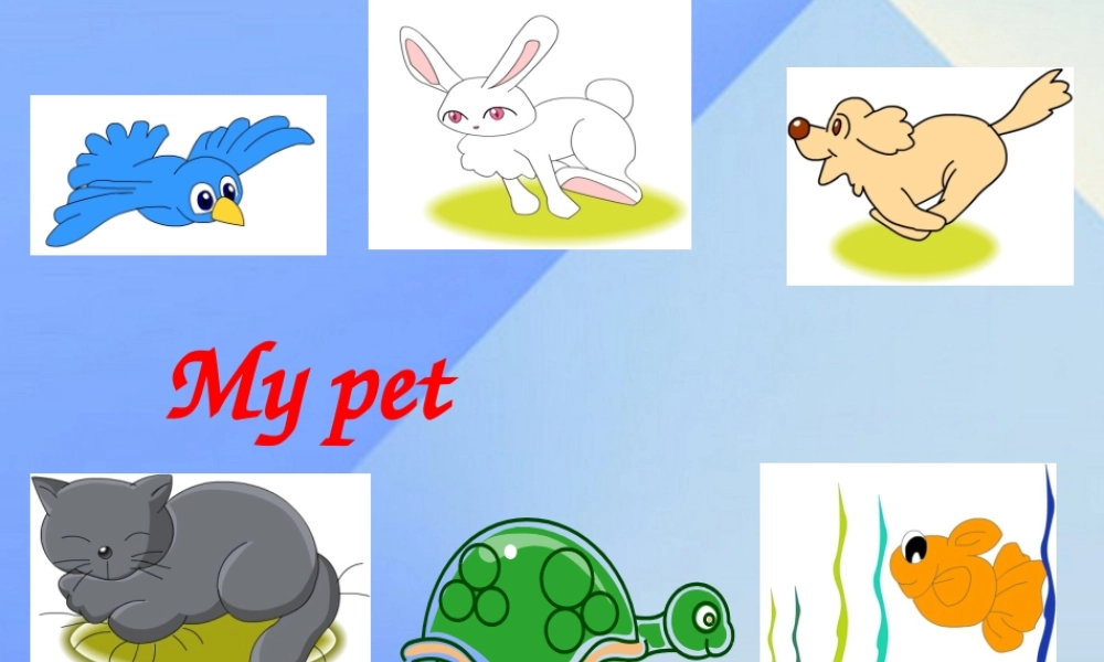 三年级英语上册《Unit 4 pets》课件3 人教新起点-人教新起点小学三年级上册英语课件