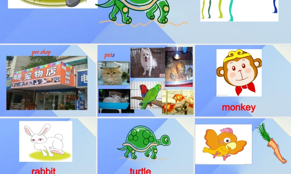 三年级英语上册《Unit 4 pets》课件3 人教新起点-人教新起点小学三年级上册英语课件