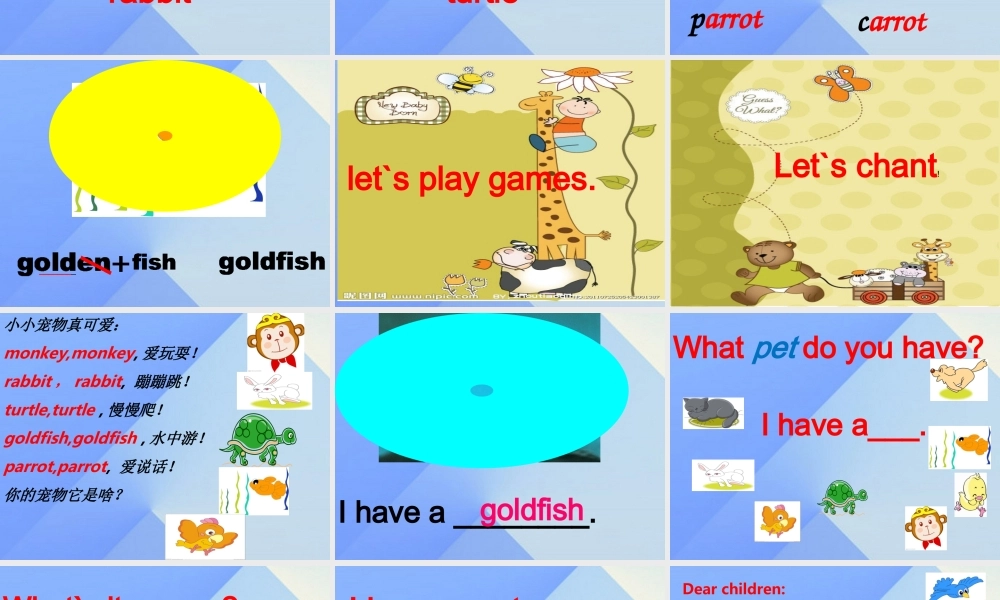 三年级英语上册《Unit 4 pets》课件3 人教新起点-人教新起点小学三年级上册英语课件