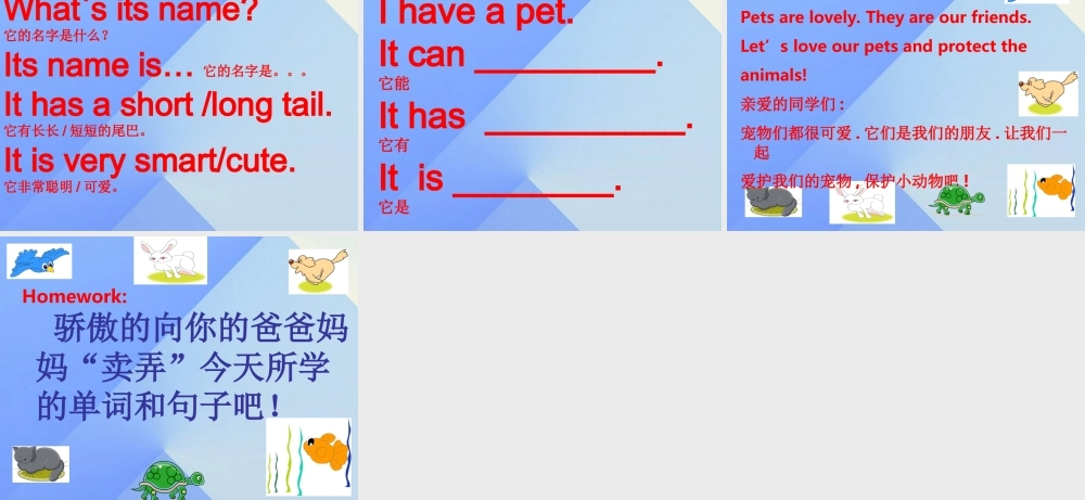 三年级英语上册《Unit 4 pets》课件3 人教新起点-人教新起点小学三年级上册英语课件