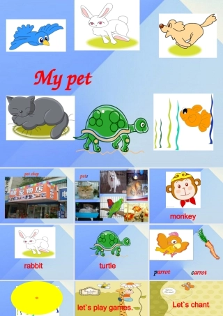 三年级英语上册《Unit 4 pets》课件3 人教新起点-人教新起点小学三年级上册英语课件