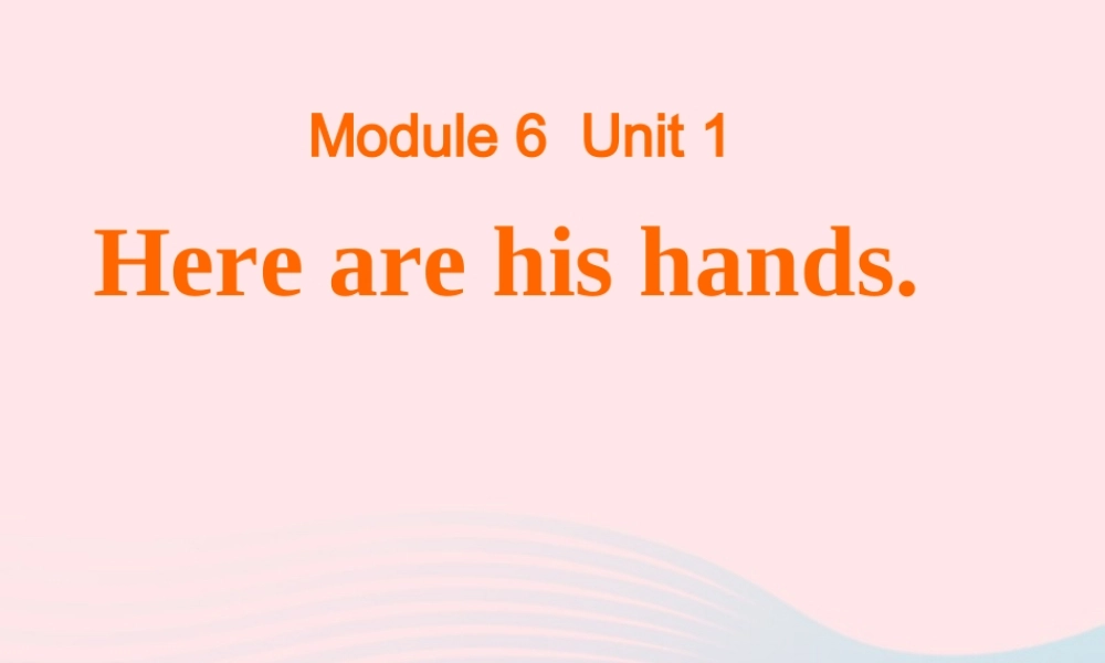 三年级英语下册 Module 6 Unit 1 Here are his hands课件 外研版（一起）-外研版小学三年级下册英语课件