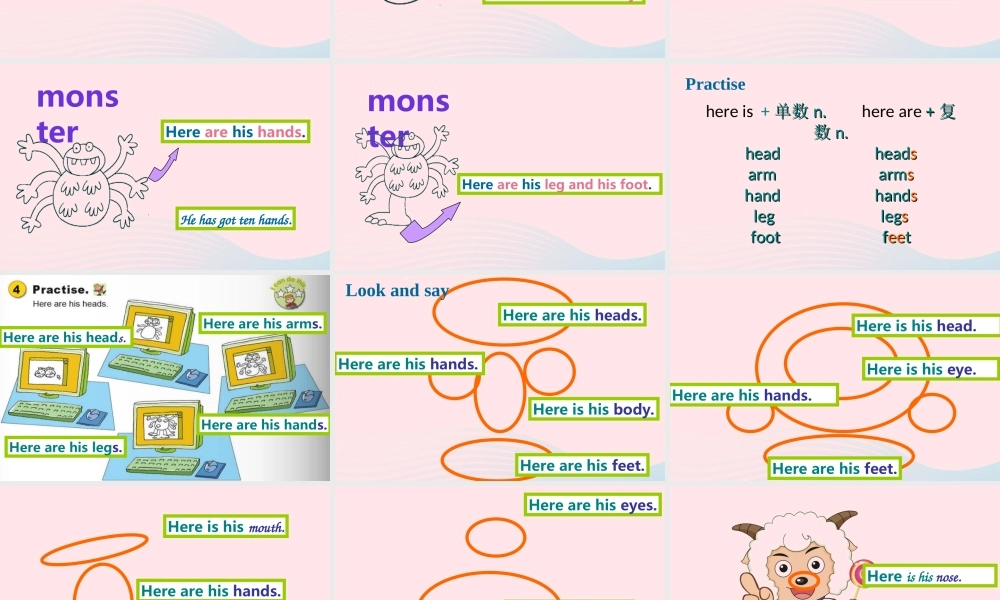 三年级英语下册 Module 6 Unit 1 Here are his hands课件 外研版（一起）-外研版小学三年级下册英语课件