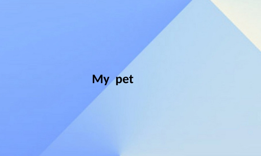 三年级英语上册《Unit 4 pets》课件4 人教新起点-人教新起点小学三年级上册英语课件