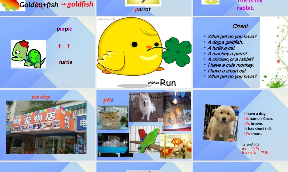 三年级英语上册《Unit 4 pets》课件4 人教新起点-人教新起点小学三年级上册英语课件