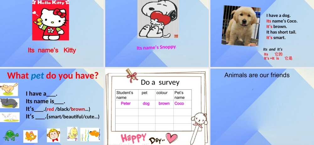 三年级英语上册《Unit 4 pets》课件4 人教新起点-人教新起点小学三年级上册英语课件