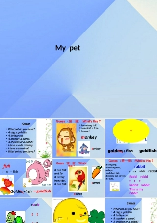 三年级英语上册《Unit 4 pets》课件4 人教新起点-人教新起点小学三年级上册英语课件