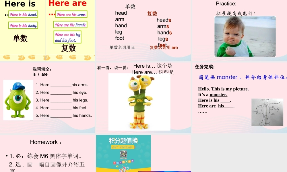 三年级英语下册 Module 6 Unit 1 Here are his hands课件2 外研版（一起）-外研版小学三年级下册英语课件