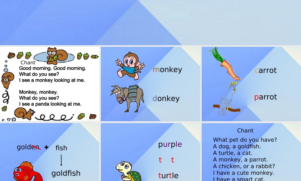 三年级英语上册《Unit 4 pets》课件5 人教新起点-人教新起点小学三年级上册英语课件