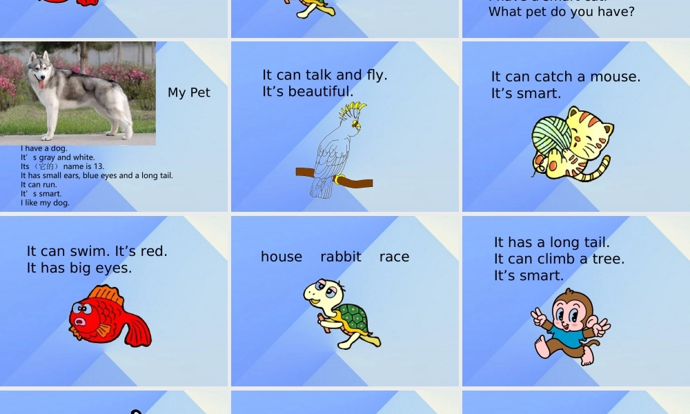 三年级英语上册《Unit 4 pets》课件5 人教新起点-人教新起点小学三年级上册英语课件