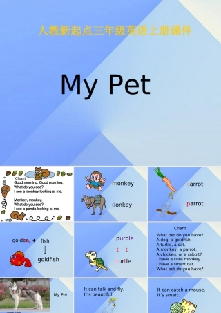 三年级英语上册《Unit 4 pets》课件5 人教新起点-人教新起点小学三年级上册英语课件