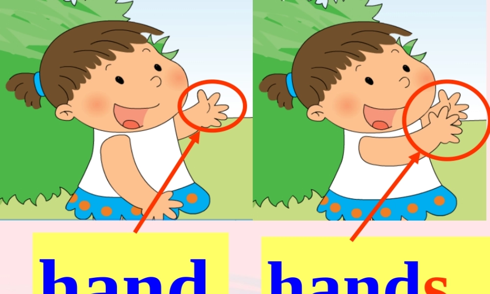 三年级英语下册 Module 6 Unit 1 Here are his hands课件4 外研版（一起）-外研版小学三年级下册英语课件