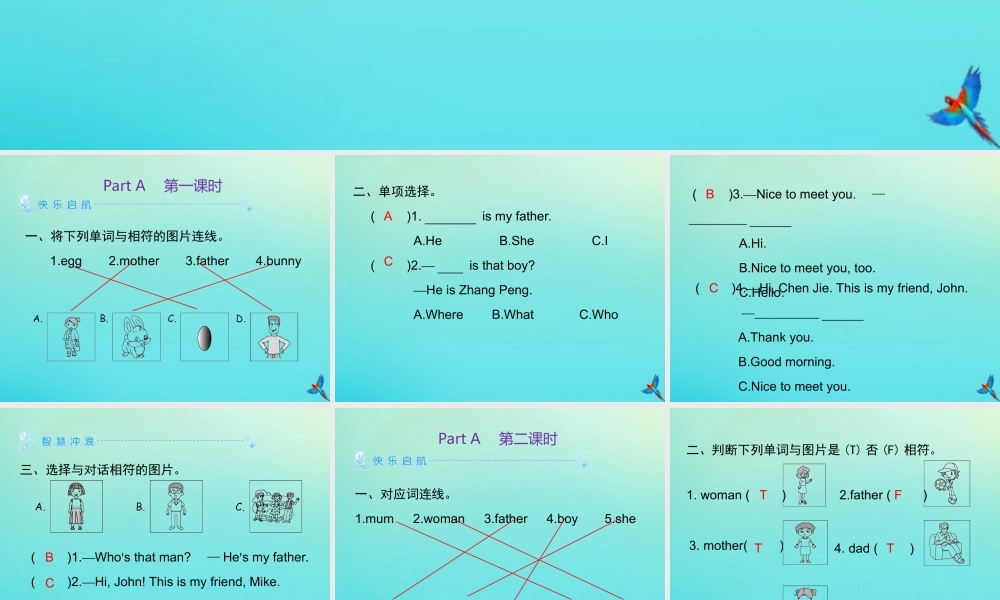 三年级英语下册 Unit 2 My family Part A习题课件 人教PEP版-人教PEP小学三年级下册英语课件