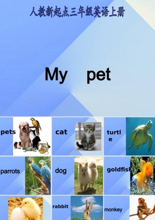 三年级英语上册《Unit 4 pets》课件6 人教新起点-人教新起点小学三年级上册英语课件
