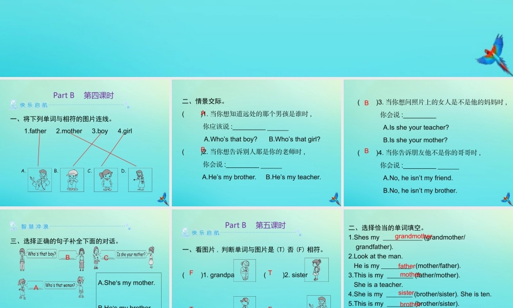 三年级英语下册 Unit 2 My family Part B习题课件 人教PEP版-人教PEP小学三年级下册英语课件