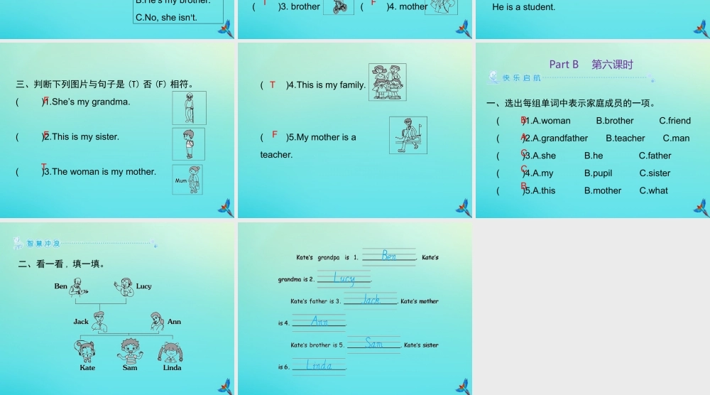 三年级英语下册 Unit 2 My family Part B习题课件 人教PEP版-人教PEP小学三年级下册英语课件