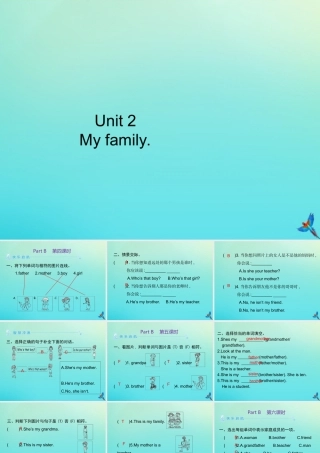 三年级英语下册 Unit 2 My family Part B习题课件 人教PEP版-人教PEP小学三年级下册英语课件