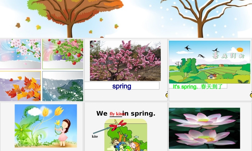 三年级英语下册 Module 7 Unit 1 We fly kites in spring教学课件 外研版（三起）-外研版小学三年级下册英语课件