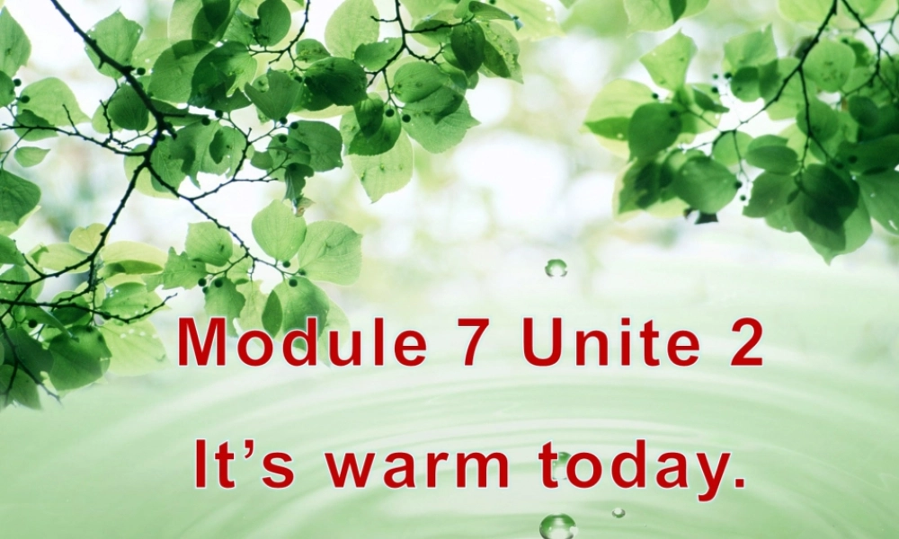 三年级英语下册 Module 7 Unit 2 It’s warm today教学课件 外研版（三起）-外研版小学三年级下册英语课件