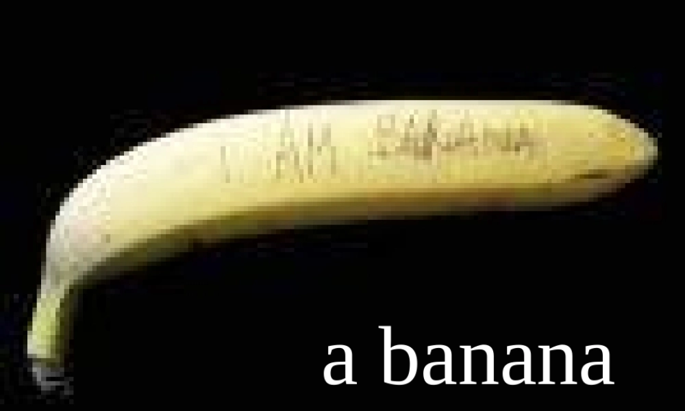 三年级英语下册 Module 7课件 广东版