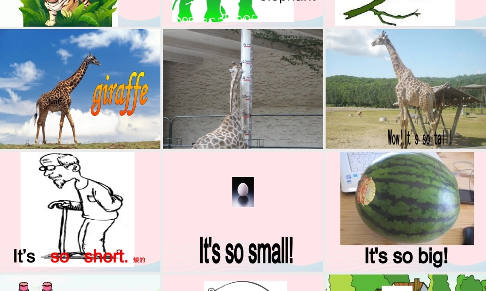 三年级英语下册 Unit 3 At the zoo A Let's learn Let's do教学课件 人教PEP-人教PEP小学三年级下册英语课件