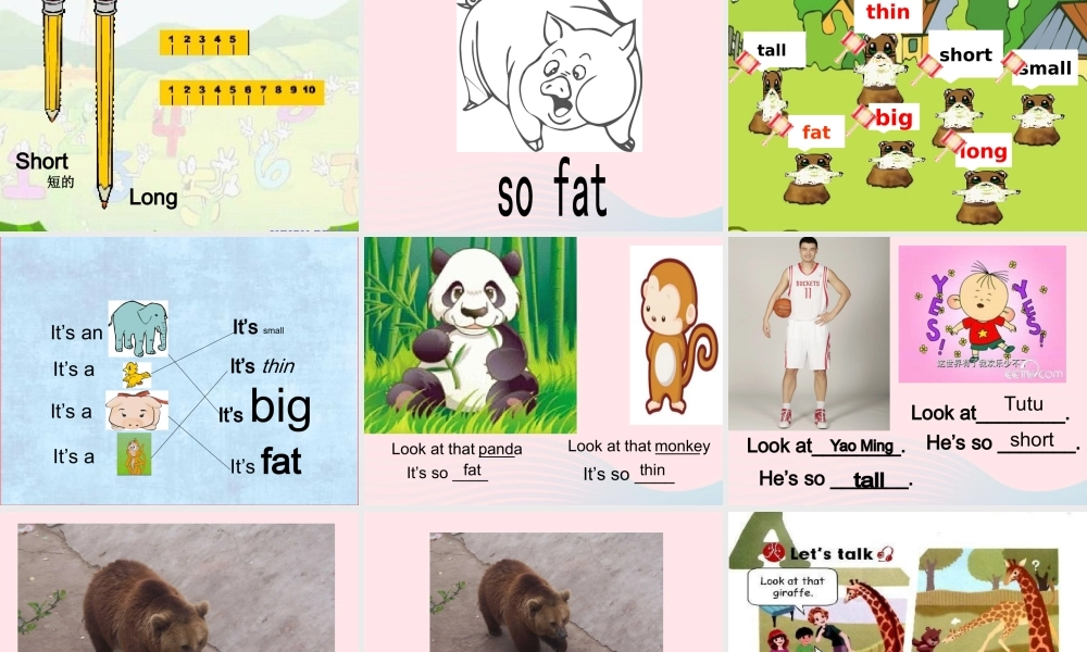 三年级英语下册 Unit 3 At the zoo A Let's learn Let's do教学课件 人教PEP-人教PEP小学三年级下册英语课件