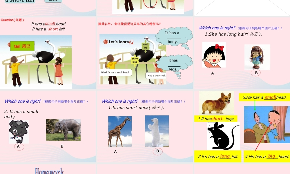 三年级英语下册 Unit 3 At the zoo B Let's learn教学课件 人教PEP-人教PEP小学三年级下册英语课件