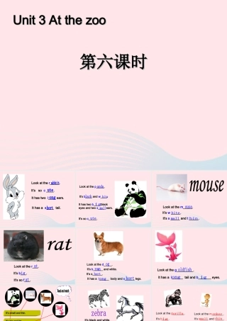 三年级英语下册 Unit 3 At the zoo B Start to read教学课件 人教PEP-人教PEP小学三年级下册英语课件
