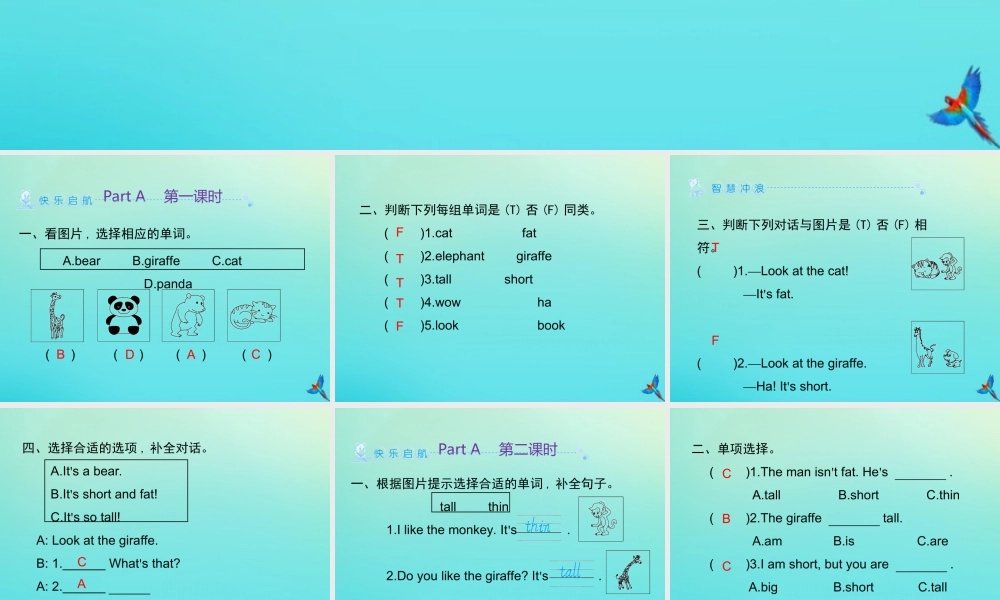 三年级英语下册 Unit 3 At the zoo Part A习题课件 人教PEP版-人教PEP小学三年级下册英语课件
