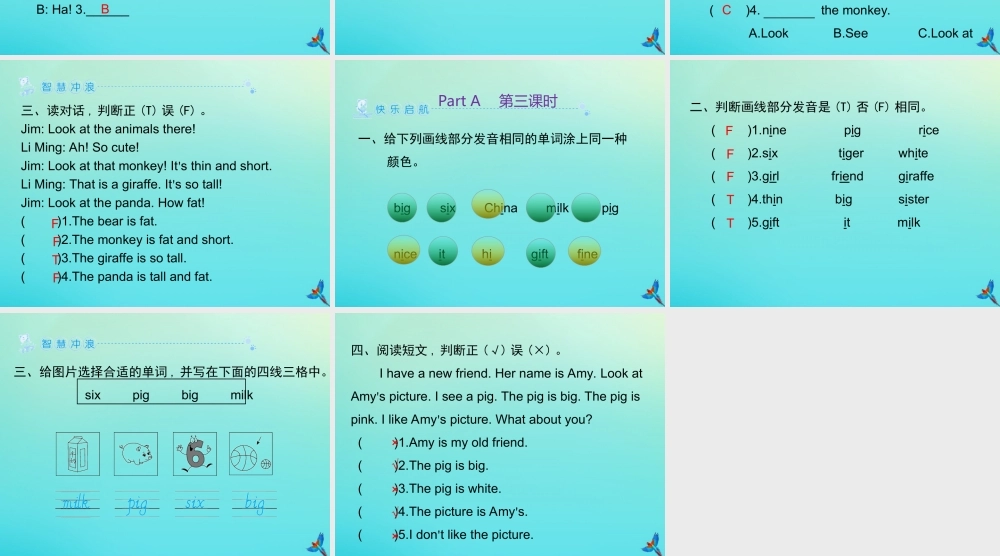 三年级英语下册 Unit 3 At the zoo Part A习题课件 人教PEP版-人教PEP小学三年级下册英语课件