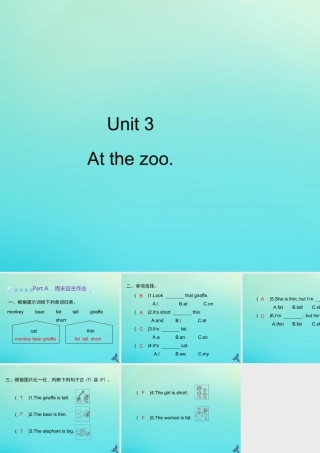 三年级英语下册 Unit 3 At the zoo Part A周末自主作业习题课件 人教PEP版-人教PEP小学三年级下册英语课件