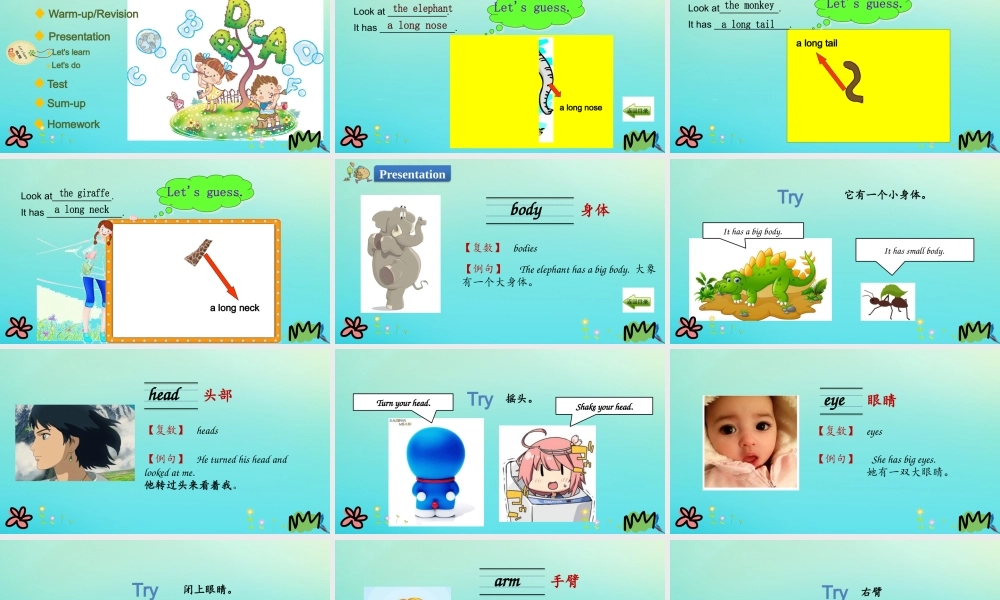 三年级英语下册 Unit 3 At the Zoo Part B（第2课时）课件 人教PEP版-人教PEP小学三年级下册英语课件