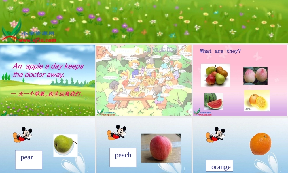 三年级英语下册 Unit4 Lesson1 Do  you  like  pears课件 人教版PEP