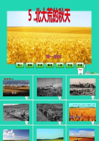 三年级语文上册 第2单元 5北大荒的秋天课件 苏教版-苏教版小学三年级上册语文课件