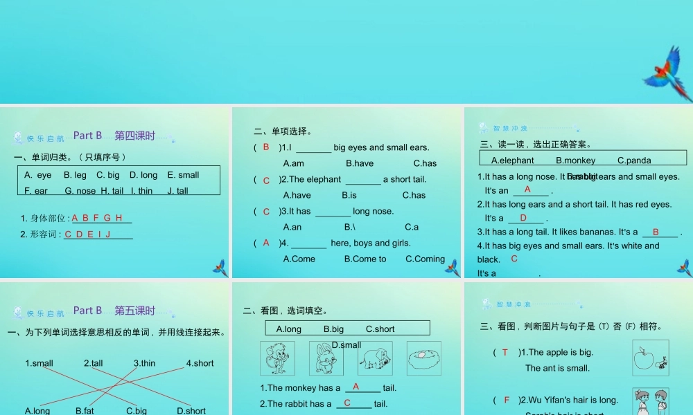三年级英语下册 Unit 3 At the zoo Part B习题课件 人教PEP版-人教PEP小学三年级下册英语课件