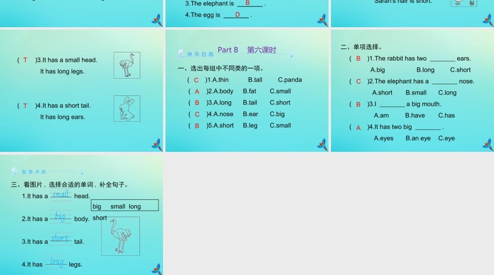 三年级英语下册 Unit 3 At the zoo Part B习题课件 人教PEP版-人教PEP小学三年级下册英语课件