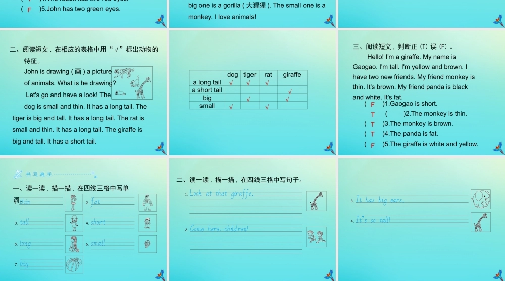 三年级英语下册 Unit 3 At the zoo Part B周末自主作业习题课件 人教PEP版-人教PEP小学三年级下册英语课件